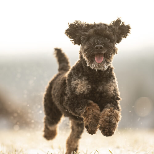 01_21-Timmy_Druck-02