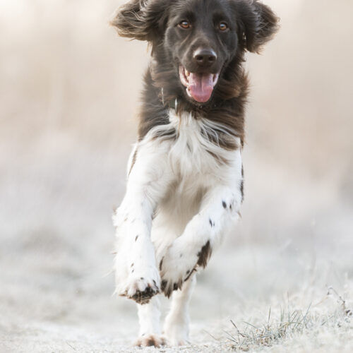 02_10-Charly-Druck_04