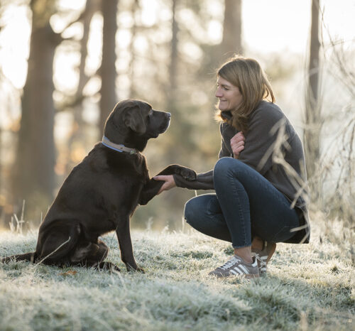 11_19-Fellverstand_04