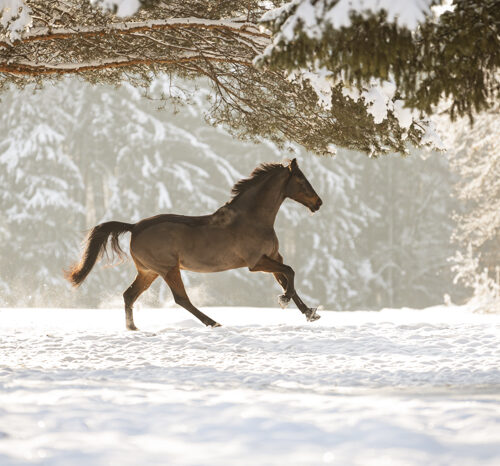 12_03-Julia_Cumpel-Druck_07